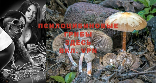 бошки Верхнеуральск