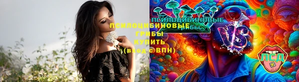 дурь Верхний Тагил